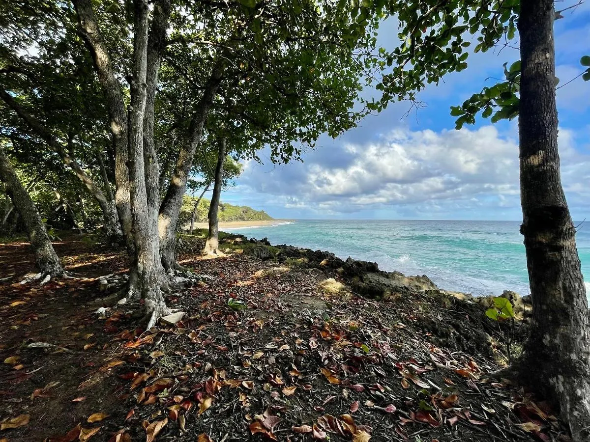 Cabarete Maravilla Eco Lodge Boutique Beach Surf Encuentro, Kite, By Aa Crypto Group Dominican Republic